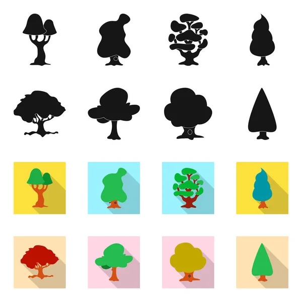 Objeto aislado de árbol y símbolo de la naturaleza. Conjunto de árbol y corona icono vectorial para stock . — Archivo Imágenes Vectoriales