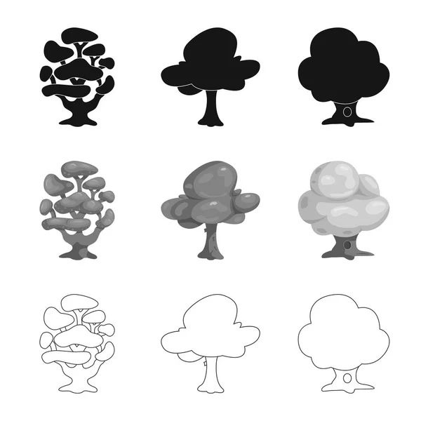 Diseño vectorial de árbol y símbolo de la naturaleza. Colección de árbol y corona stock vector ilustración . — Archivo Imágenes Vectoriales