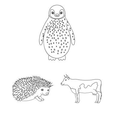 Gerçekçi hayvanları kutsal kişilerin resmi içinde set koleksiyonu tasarım için anahat. Yerli ve vahşi hayvanlar sembol stok web illüstrasyon vektör.