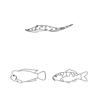 Farklı türde balık set koleksiyonu tasarım için simgeleri anahat. Deniz ve akvaryum balık sembol stok web illüstrasyon vektör.