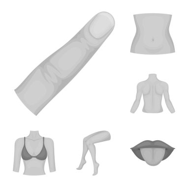 Gövde, kol set koleksiyonu tasarım için tek renkli simgeler bölümü. İnsan anatomisi vektör simge stok web çizimi.