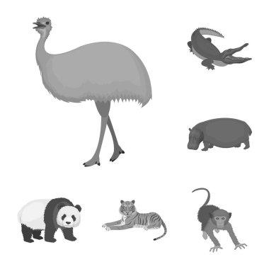 Farklı hayvanlar set koleksiyonu tasarım için tek renkli simgeler. Kuş, predator ve otobur sembol stok web illüstrasyon vektör.