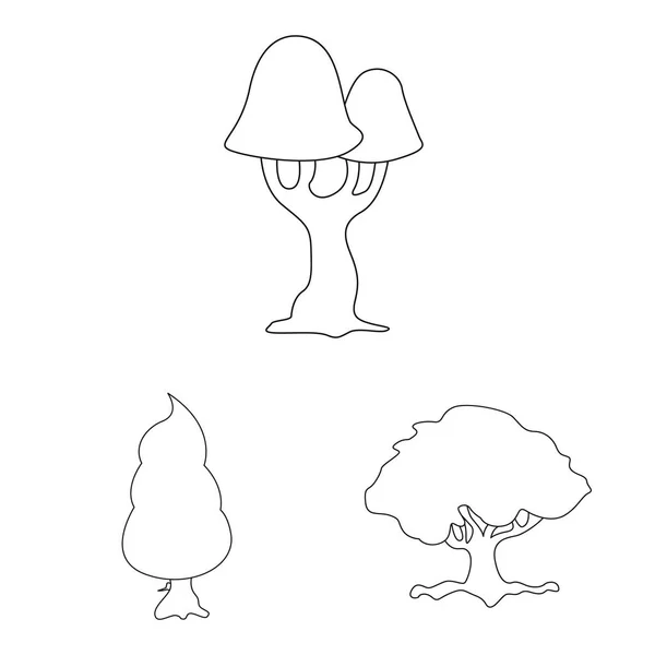 Objet isolé d'arbre et signe de nature. Collection d'icônes vectorielles arbre et couronne pour stock . — Image vectorielle