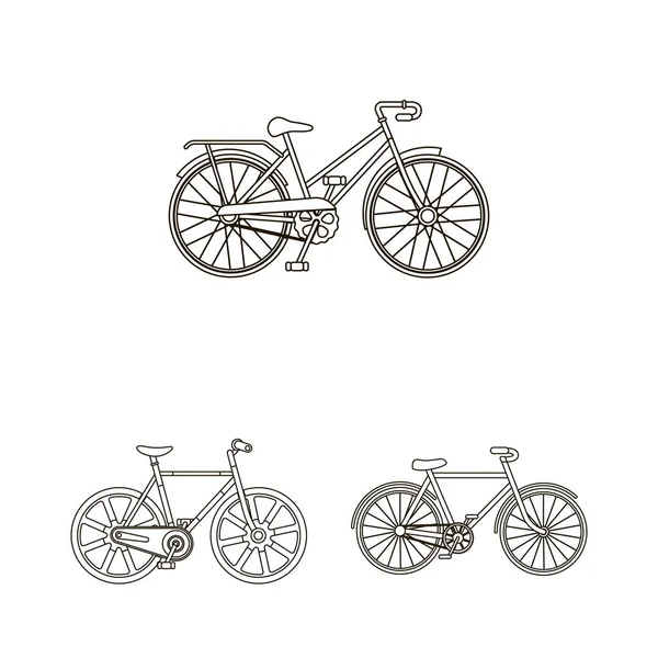 Various Bicycles Outline Icons Set Collection Design Type Transport Vector — Stock Vector