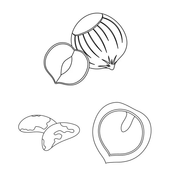 Diferentes tipos de nueces esbozan iconos en la colección de conjuntos para design.Nut Alimento vector símbolo stock web ilustración . — Vector de stock