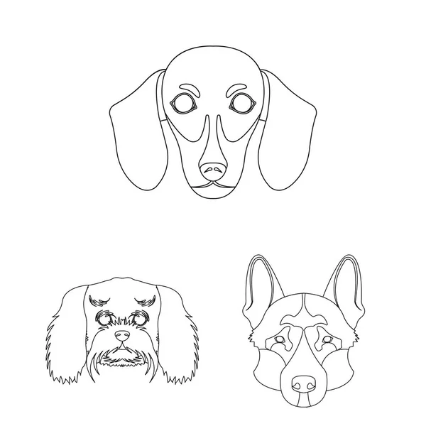 Hunderassen umreißen Symbole in Set-Kollektion für Design. Schnauze eines Hundesymbols stock web illustration. — Stockvektor