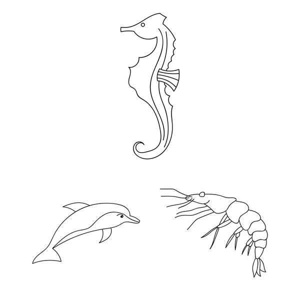 Eine Vielzahl von Meerestieren umreißen Symbole in Set-Kollektion für Design. Fisch und Schalentiere Vektor Symbol Stock Web Illustration. — Stockvektor