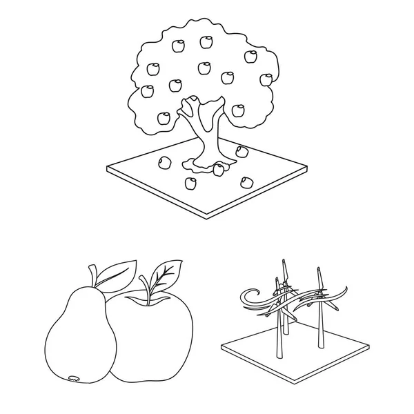 La ferme et l'agriculture dessinent des icônes dans la collection définie pour le design. Jardin et plantes isométrique vecteur symbole stock web illustration . — Image vectorielle
