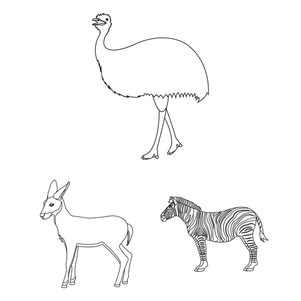 Olika djur disposition ikoner i set samling för design. Fågel, rovdjur och växtätare vektor symbol lager web illustration. — Stock vektor