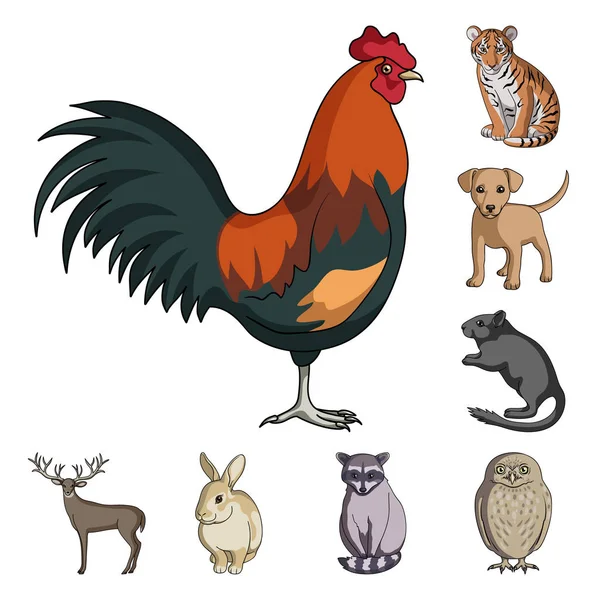 Animales realistas iconos de dibujos animados en la colección de conjuntos para el diseño. Animales salvajes y domésticos vector símbolo stock web ilustración . — Archivo Imágenes Vectoriales