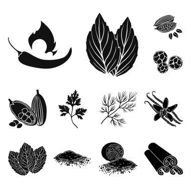 Ot ve baharat set koleksiyonu tasarım için simgeler siyah. Baharat çeşitleri simge stok web illüstrasyon vektör.