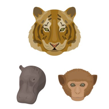 Set koleksiyonu tasarım için vahşi hayvan karikatür simgeler. Mammal ve kuş sembol stok web illüstrasyon vektör.