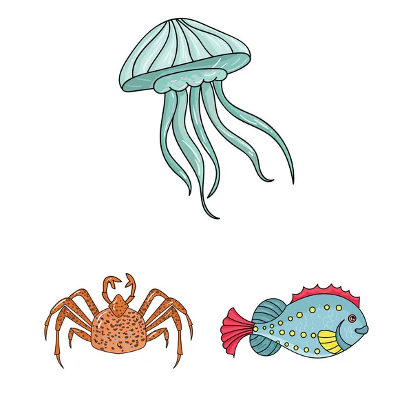 Eine Vielzahl von Meerestieren Cartoon-Ikonen in Set-Kollektion für Design. Fisch und Schalentiere Vektor Symbol Stock Web Illustration. — Stockvektor