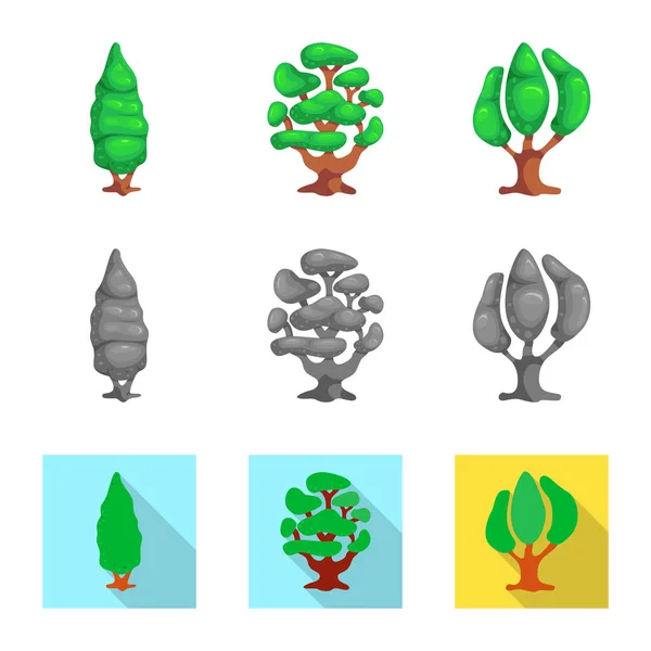 Vektorillustration av träd och naturen tecken. Samling av träd och krona vektor ikonen för lager. — Stock vektor