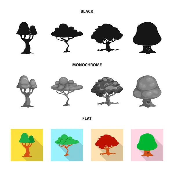 Geïsoleerde object van boom en natuur symbool. Set van boom en kroon vector pictogram voor voorraad. — Stockvector