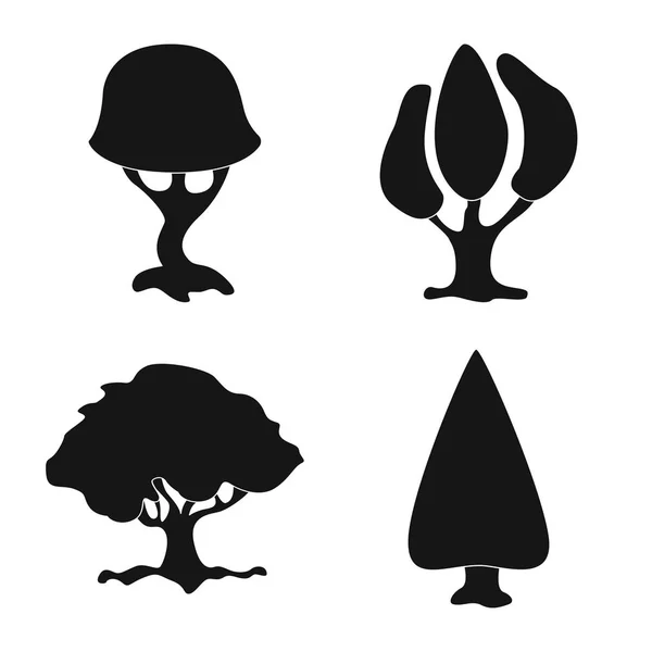 Objeto isolado de árvore e ícone da natureza. Conjunto de árvore e coroa estoque vetor ilustração . — Vetor de Stock