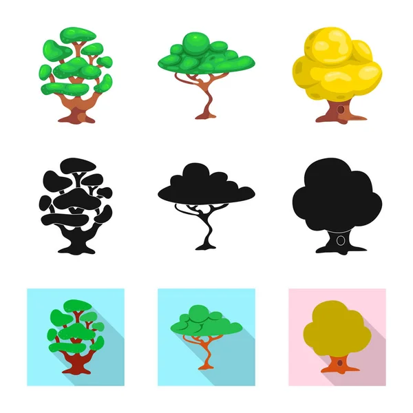 Izolovaný objekt ikony strom a příroda. Sbírka strom a korunu burzovní symbol pro web. — Stockový vektor
