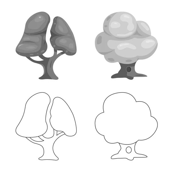 Isolerade objekt av träd och naturen tecken. Uppsättning av trädet och crown lager vektorillustration. — Stock vektor