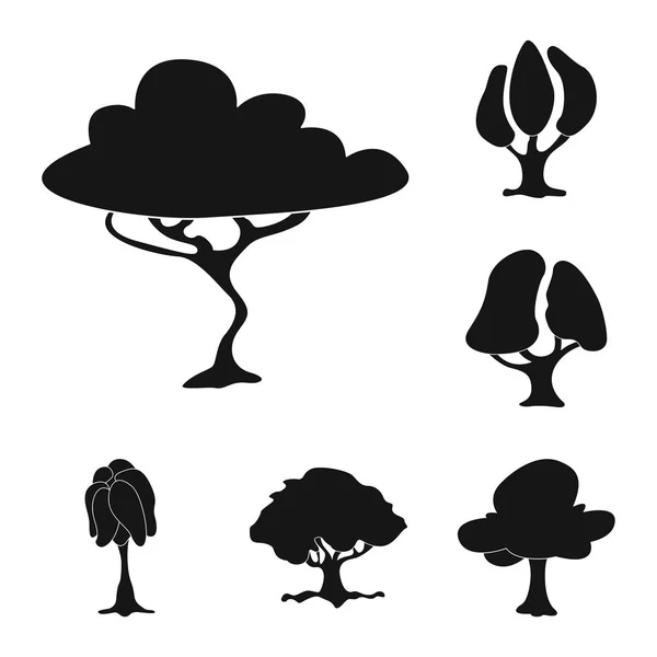 Векторні ілюстрації дерева та значка природи. Набір символів дерева та корони для Інтернету . — стоковий вектор