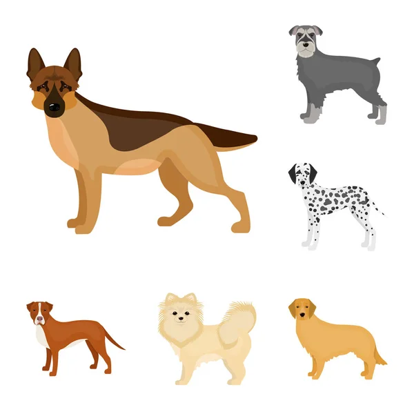 Perro razas iconos de dibujos animados en conjunto de colección para design.Dog mascota vector símbolo stock web ilustración . — Vector de stock