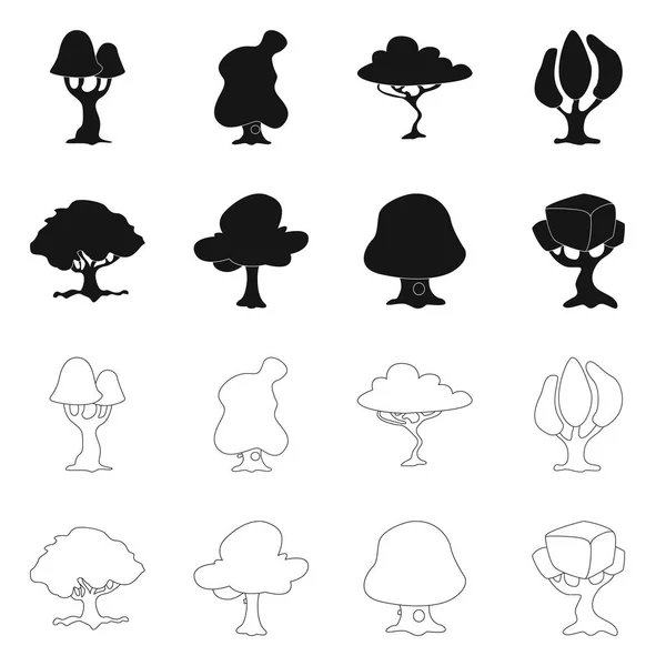 Векторная иллюстрация дерева и знака природы. Набор иконки дерева и короны для склада . — стоковый вектор