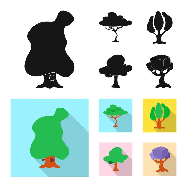 Ilustração vetorial de árvore e ícone da natureza. Coleção de árvore e coroa ilustração vetor estoque . — Vetor de Stock