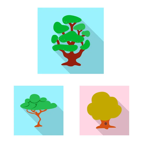 Isolated object of tree and nature symbol. Set of tree and crown stock vector illustration. — Stock Vector