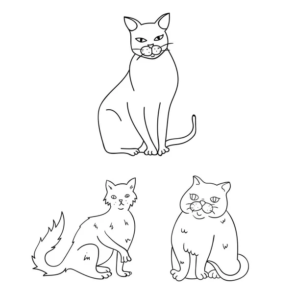 Razas de gatos esbozan iconos en la colección de conjuntos para el diseño. Mascota gato vector símbolo stock web ilustración . — Archivo Imágenes Vectoriales