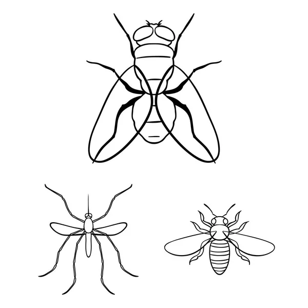 Different kinds of insects outline icons in set collection for design. Insect arthropod vector symbol stock web illustration. — Stock Vector