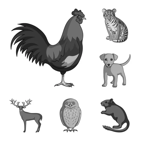 Ρεαλιστική ζώα μονόχρωμες εικόνες σετ συλλογής για το σχεδιασμό. Άγρια και κατοικίδια ζώα διανυσματικά εικονογράφηση σύμβολο μετοχής web. — Διανυσματικό Αρχείο