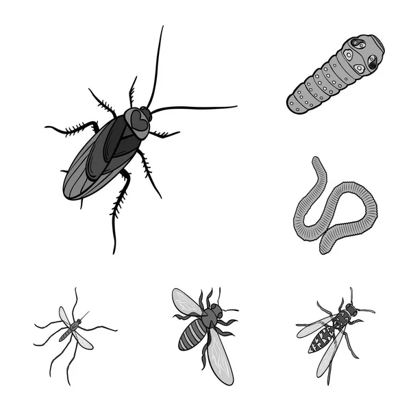 不同种类的昆虫单色图标集为设计集合。昆虫节肢动物向量等距符号股票 web 插图. — 图库矢量图片
