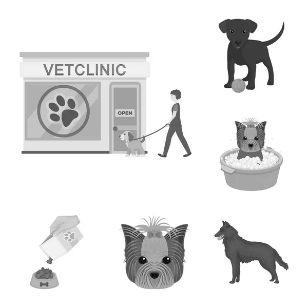 Sällskapsdjur svartvita ikoner i set insamling för design. Vård och utbildning vektor symbol lager web illustration. — Stock vektor