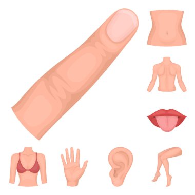 Vücut, bacak karikatür simgeleri tasarım için küme toplama bir parçası. İnsan anatomisi vektör simge stok web çizimi.