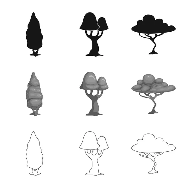 Vector ontwerp van boom en natuur teken. Collectie van boom en kroon voorraad vectorillustratie. — Stockvector