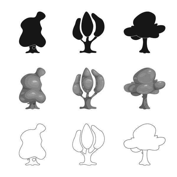 Isolerade objekt av träd och naturen symbol. Samling av träd och crown lager vektorillustration. — Stock vektor