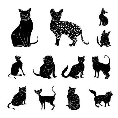 Doğurmak-in cats set koleksiyonu tasarım için simgeler siyah. Evde beslenen hayvan kedi vektör simge stok web çizim.