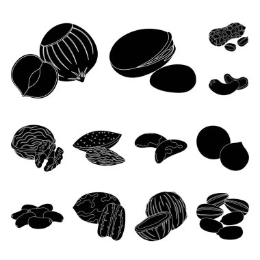Fındık çeşitleri set koleksiyonu tasarım için simgeler siyah. Fındık gıda vektör simge stok web çizim.