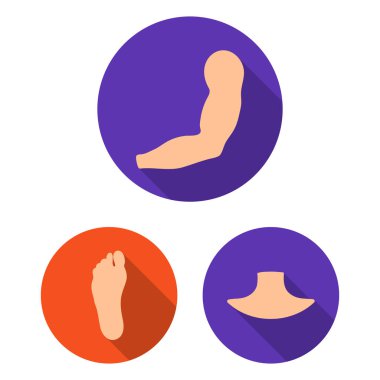 Vücut, bacak set koleksiyonu tasarım için düz simgeleri parçası. İnsan anatomisi vektör simge stok çizim.