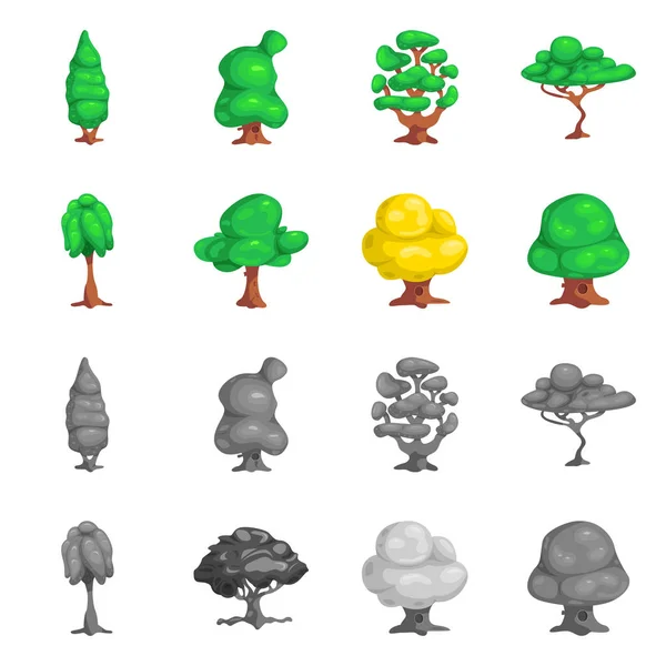 Isoliertes Objekt von Baum und Natur-Ikone. Sammlung von Baum- und Kronensymbolen für das Netz. — Stockvektor