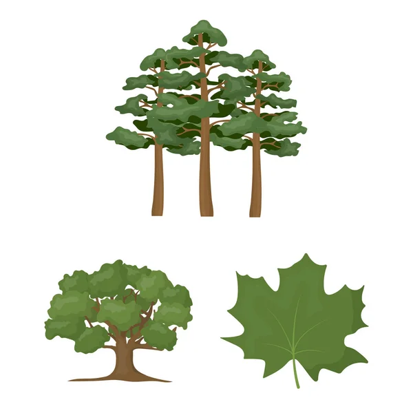 Forest and nature cartoon icons in set collection for design. Forest life vector symbol stock web illustration. — Stock Vector