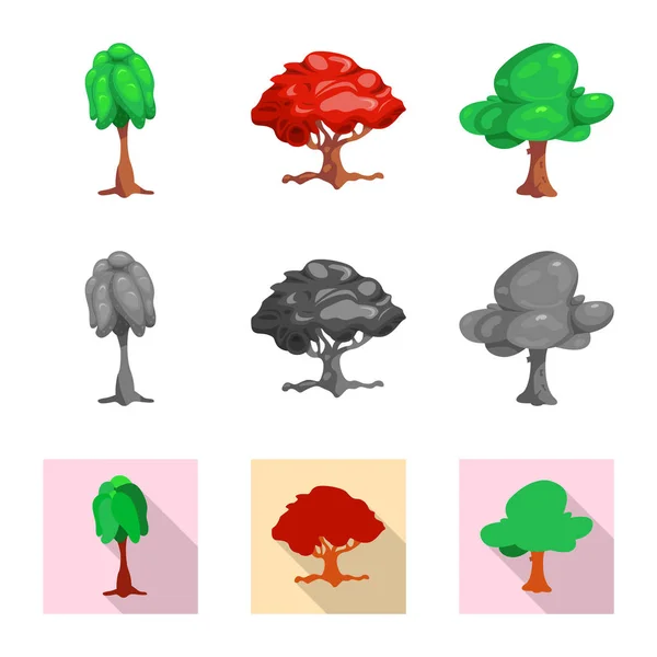 Projeto vetorial de árvore e símbolo da natureza. Coleção de árvore e coroa ilustração vetor estoque . — Vetor de Stock