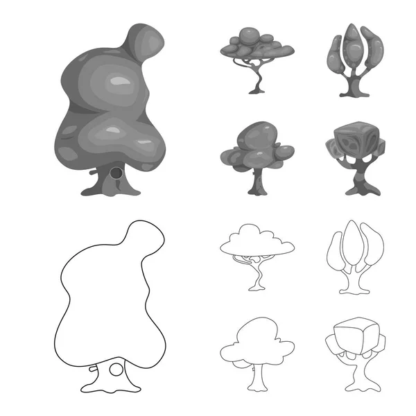 Vektor design av ikonen träd och naturen. Samling av träd och krona vektor ikonen för lager. — Stock vektor