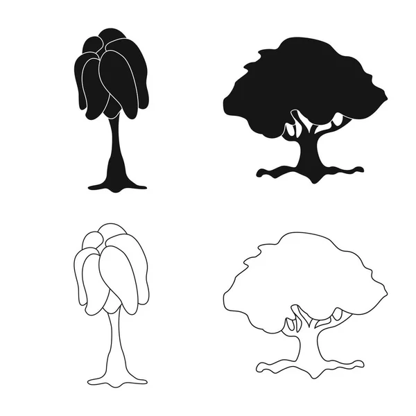Projeto vetorial de árvore e símbolo da natureza. Conjunto de árvore e coroa estoque vetor ilustração . — Vetor de Stock