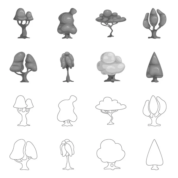 Isolerade objekt av träd och naturen tecken. Uppsättning av trädet och crown lager vektorillustration. — Stock vektor