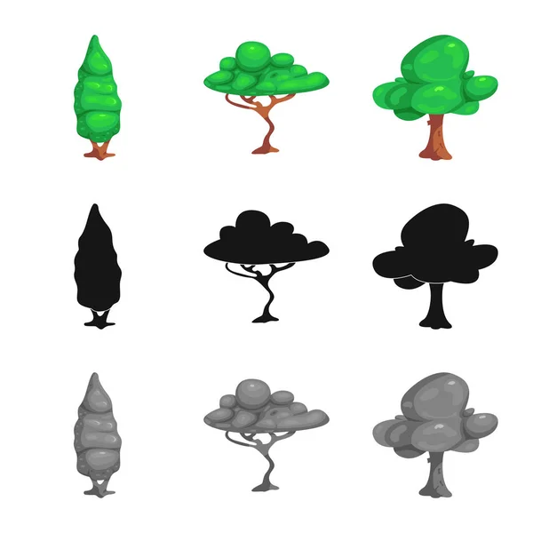 Isoliertes Objekt von Baum und Natur-Ikone. Sammlung von Baum- und Kronenvektorsymbolen für Aktien. — Stockvektor