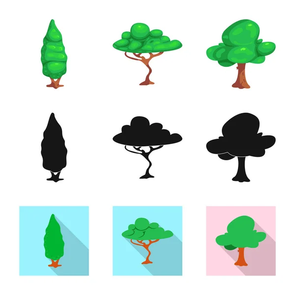 Objeto isolado de árvore e sinal de natureza. Coleção de árvore e coroa símbolo de estoque para web . — Vetor de Stock