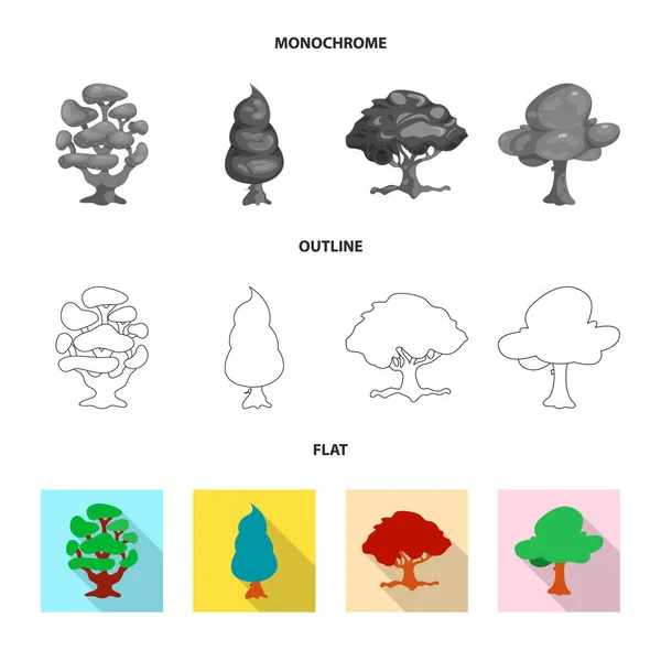 Geïsoleerde object van boom en natuur teken. Set van boom en kroon aandelensymbool voor web. — Stockvector