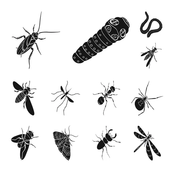 Diferentes tipos de insectos iconos negros en la colección de conjuntos para el diseño. Artrópodo insecto vector isométrico símbolo stock web ilustración . — Vector de stock
