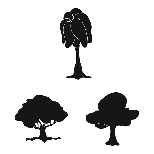 Ilustración vectorial del icono del árbol y la naturaleza. Conjunto de árbol y corona símbolo de stock para web . — Archivo Imágenes Vectoriales