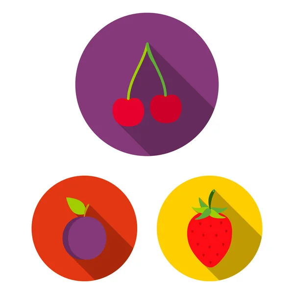 Différents fruits icônes plates dans la collection ensemble pour le design. Fruits et vitamines symbole vectoriel illustration web stock . — Image vectorielle